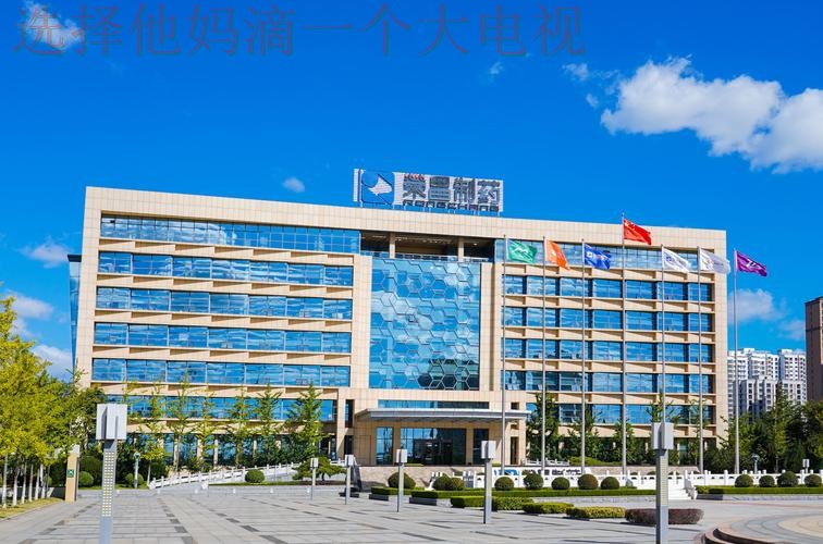 凯发体育科技控股创新引领未来